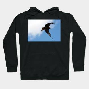 Whistling Kite Feeding On the Wing Hoodie